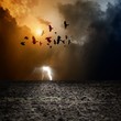 Dark landscape