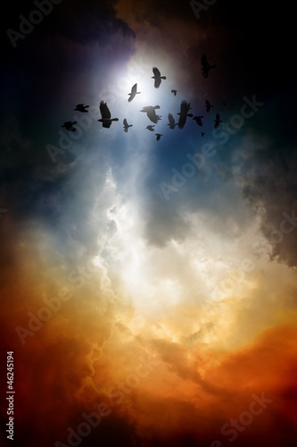 Illustration: Ravens in dark sky Ravens in dark sky