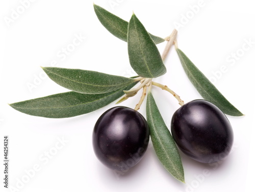 Photo: Ripe black olives with leaves. Ripe black olives with leaves.