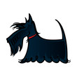 Scottie dog