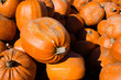 Photo: Heap of pumpkins Heap of pumpkins