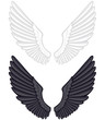 spread wings