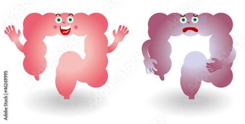 Vector: 大腸のキャラクターイラスト 大腸のキャラクターイラスト