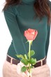 Photo: green sweater woman offering red rose green sweater woman offering red rose