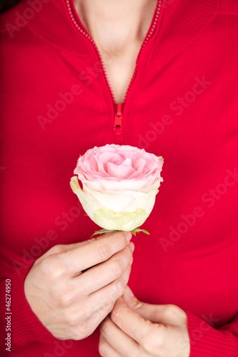Photo: zipper to pink rose zipper to pink rose