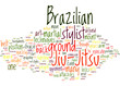 An-Introduction-To-Brazilian-Jiu-Jitsu