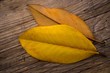 Photo: Autumn leaves on wooden background Autumn leaves on wooden background