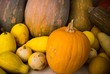 Vegetables still life