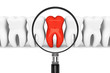 Tooth With Magnifying glass