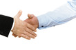 Business handshake