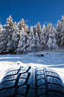 gomma da neve