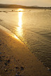 Lapping waves in the sun