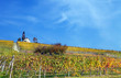 Autunno nelle Langhe, Italia