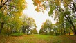 autumn park