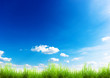 grass