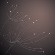 Flowers Anise / Elegant floral card