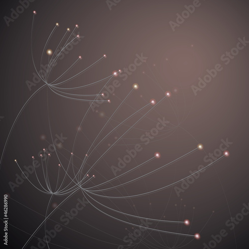 Vector: Flowers Anise / Elegant floral card Flowers Anise / Elegant floral card