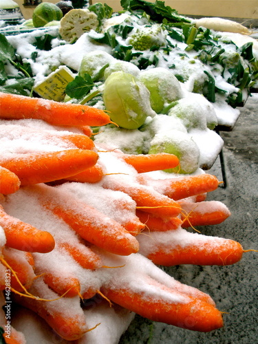 Photo: Snow Carrots Snow Carrots