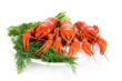 Foto: Tasty boiled crayfishes with fennel on plate isolated on white Tasty boiled crayfishes with fennel on plate isolated on white