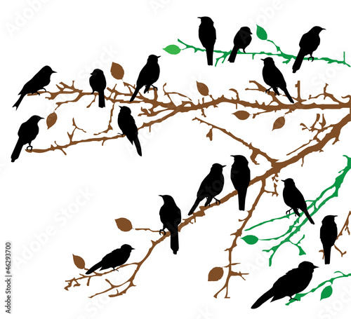 Vector: vector birds on branches vector birds on branches