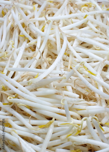 Photo: Bean sprouts Bean sprouts
