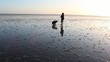 Kinder im Wattenmeer