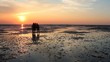 Wattwanderung an der Nordsee