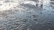 Wattenmeer in Nordfriesland