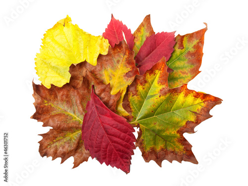 Photo: Fall bouquet Fall bouquet