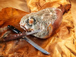Moldy ham
