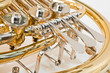 French horn closeup