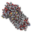 Substance P neuropeptide molecule, chemical structure.