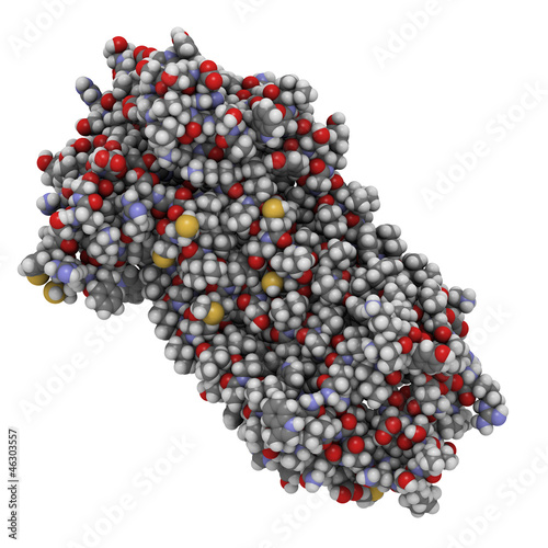 Illustration: Substance P neuropeptide molecule, chemical structure. Substance P neuropeptide molecule, chemical structure.