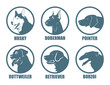 Dog breeds labels - vector illustration