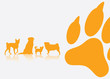 Dog breeds background - vector illustration