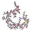 Amylin (Islet Amyloid PolyPeptide, IAPP) protein molecule, chemi