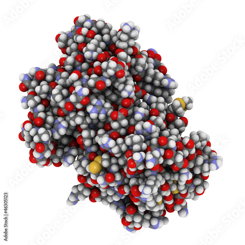 Illustration: cyclic ADP ribose hydrolase (CD38) protein, chemical structure cyclic ADP ribose hydrolase (CD38) protein, chemical structure