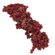 BRCA2 (breast cancer susceptibility gene 2) tumor suppressor pro