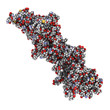BRCA2 (breast cancer susceptibility gene 2) tumor suppressor pro