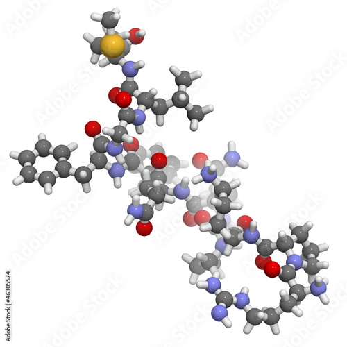 Illustration: Substance P neuropeptide molecule, chemical structure. Substance P neuropeptide molecule, chemical structure.