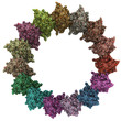Salmonella needle complex, chemical structure