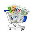 Shopping cart