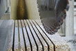 circular saw