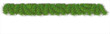 Border of New Year branch of pine