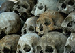 human skulls