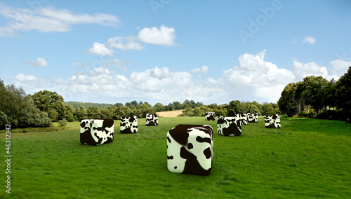 Illustration: Cubic cows Cubic cows