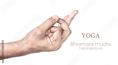 Photo: Bhramara mudra Bhramara mudra