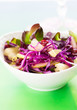 Red cabbage salad