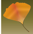 Gingkoblatt im Herbst
