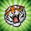 Isolated tiger head - vector background